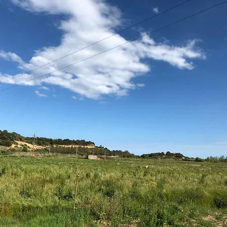 Maralai *